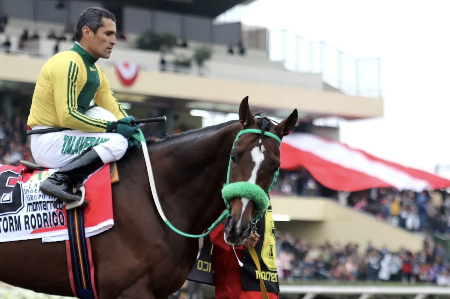 Paseará sobre un caballo y marcará sud despedida