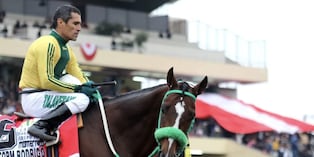 Paseará sobre un caballo y marcará sud despedida