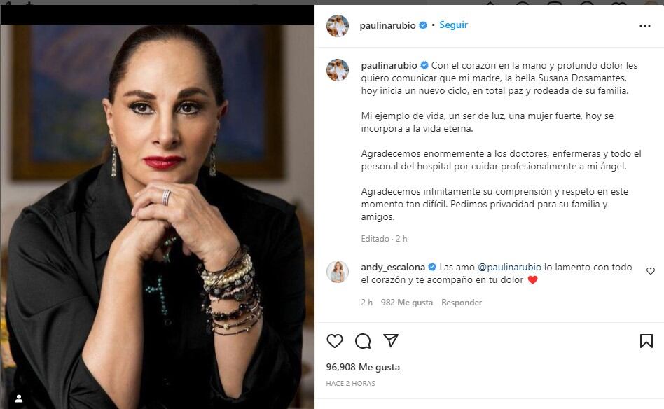 Así se despidió la cantante mexicana Paulina Rubio de su mamá (Paulina Rubio/Instagram)