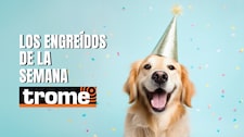 Conoce a las mascotas más adorables de Trome