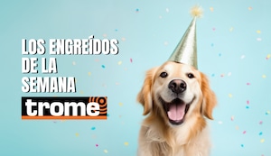 Conoce a las mascotas más adorables de Trome