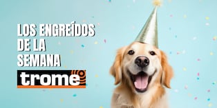 Nuestros lectores nos enviaron fotos de sus mascotas. Si quieres que la tuya también aparezca publicada, entra a la nota y sigue los pasos. Foto: iStock.