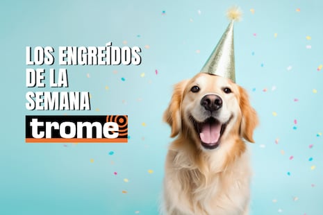 Conoce a las mascotas más adorables de Trome