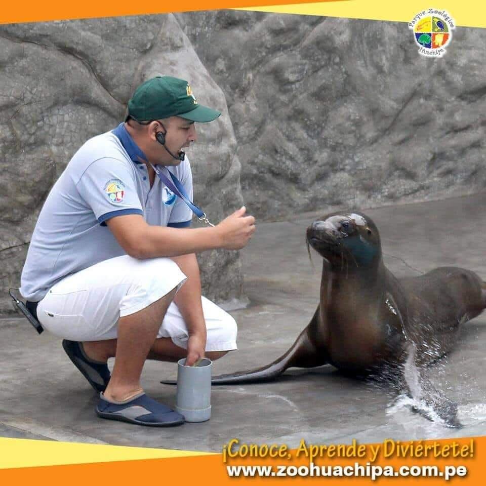 Animales celebran su día mundial