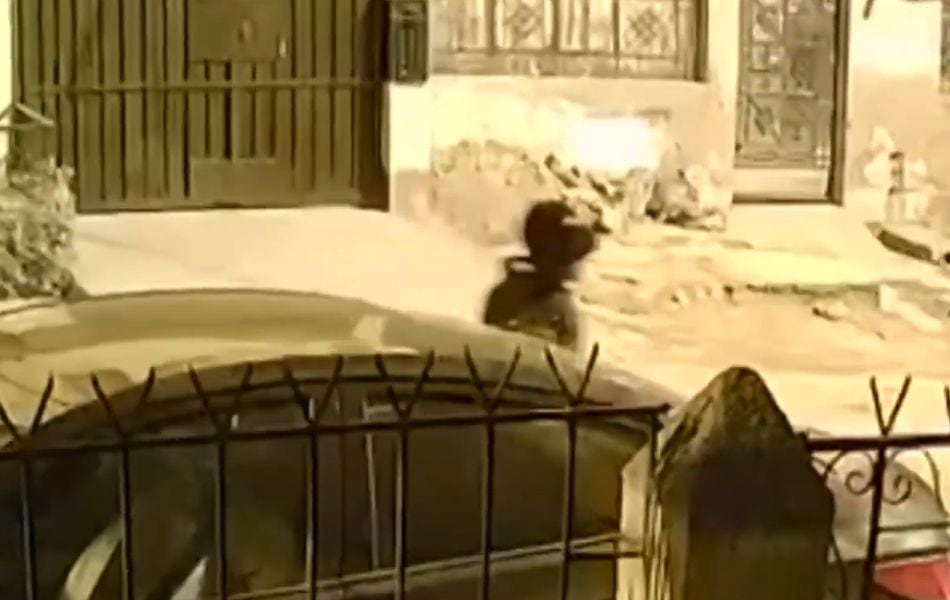 Una joven universitaria de 20 años fue asesinada tras resistirse al robo de su celular en San Juan de Lurigancho. (Foto: Captura de video / "América Noticias")