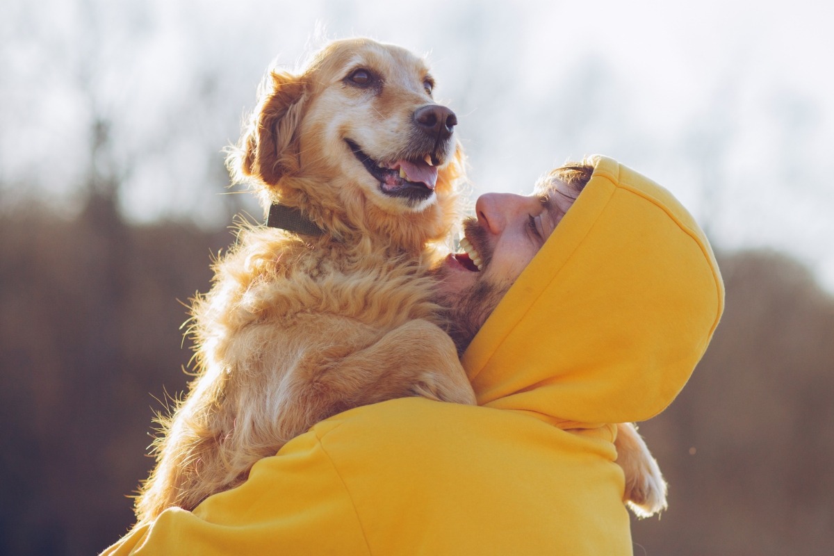 Prioriza el bienestar de tu engreído de cuatro patas. Foto: Istock.