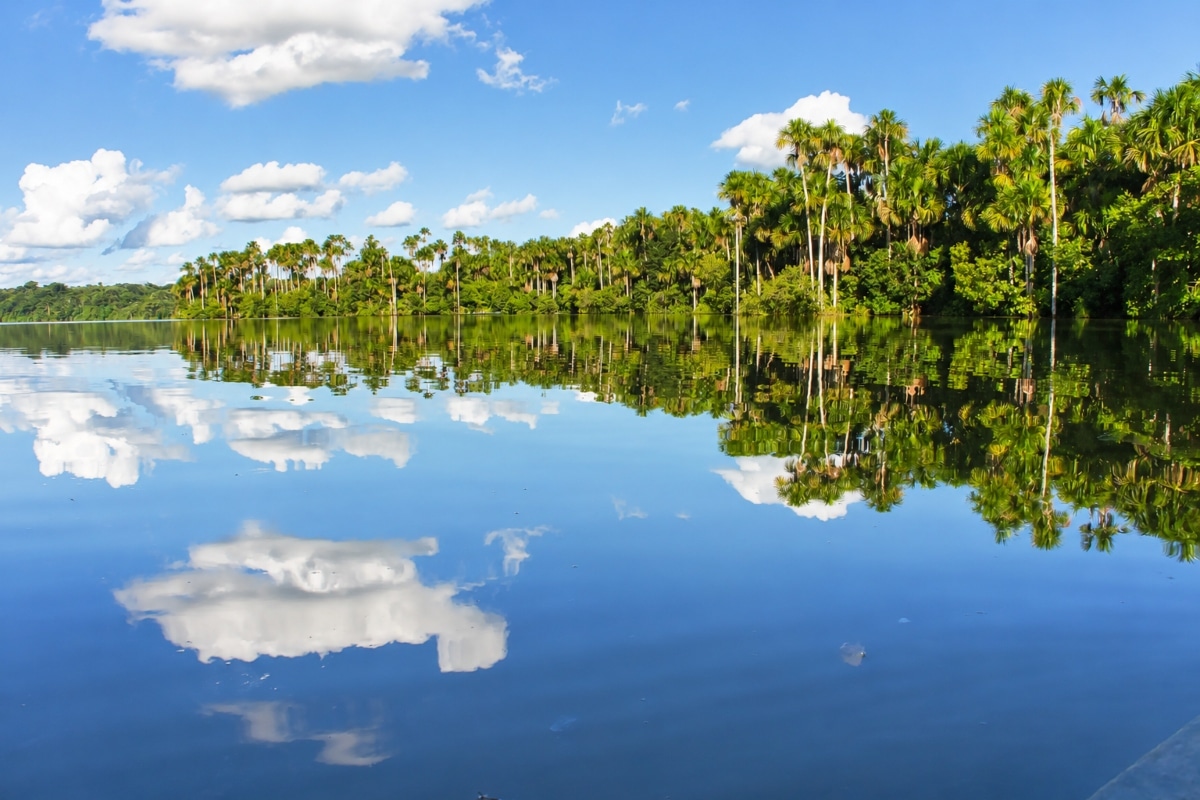 La Reserva Nacional de Tambopata alberga una de las mayores biodiversidades del planeta, pero está amenazada por la minería ilegal. Foto: Internet.