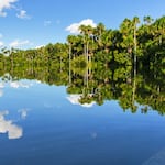 Reserva Nacional de Tambopata: el paraíso amazónico amenazado por la minería ilegal