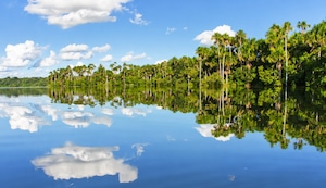 Reserva Nacional de Tambopata: el paraíso amazónico amenazado por la minería ilegal