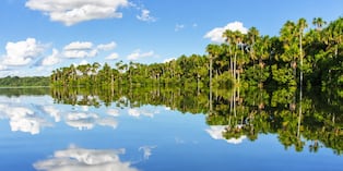 La Reserva Nacional de Tambopata alberga una de las mayores biodiversidades del planeta, pero está amenazada por la minería ilegal. Foto: Internet.