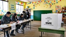 Pepitas: Esperemos que los observadores internacionales no hayan venido solo por turismo