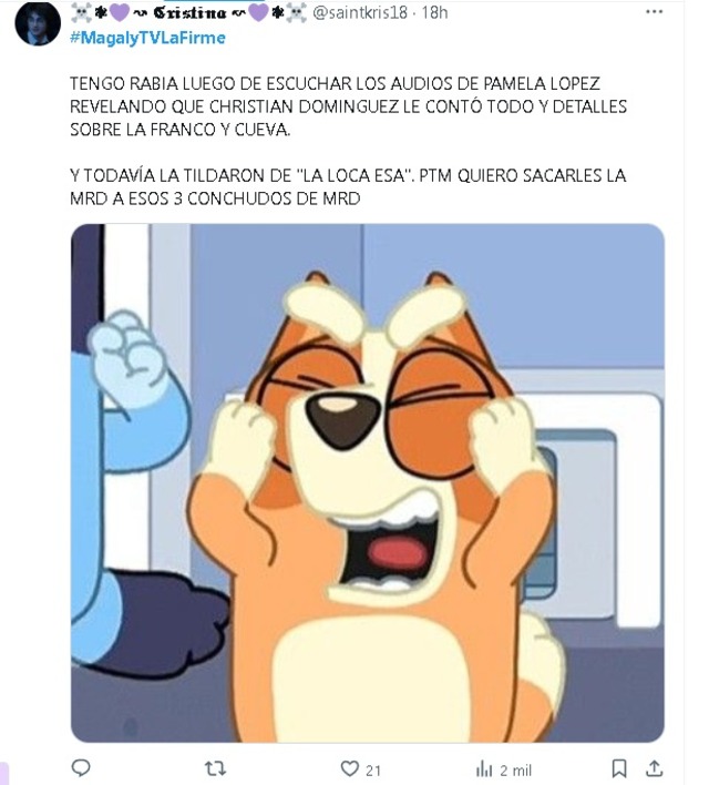 No pararás de reir con los memes de las declaraciones de Pamela López sobre lo que le contó Christian Domínguez en MagalyTv. (Twitter)