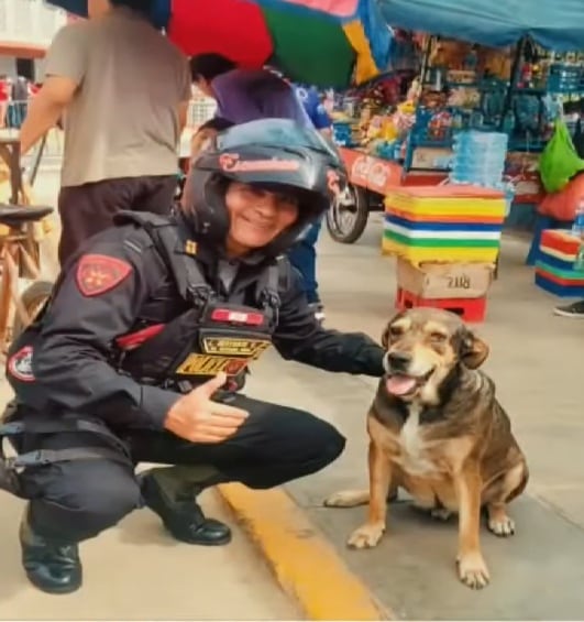 Emotiva despedida a perro Vaguito en Trujillo. (Redes sociales)