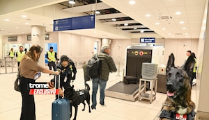 ¡Perritos en acción! Canes K-9 SUNAT en nuevo aeropuerto Jorge Chávez y la detección de droga ilegal y dinero