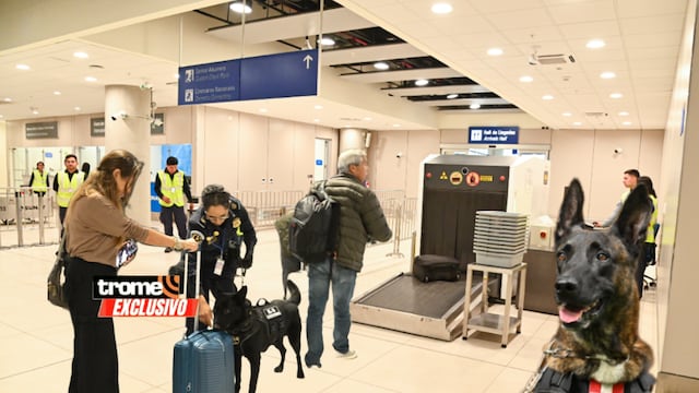 Canes K-9 Sunat y oficiales aduaneros trabajan juntos en servicio del país. (Entrevista: Isabel Medina / Trome).