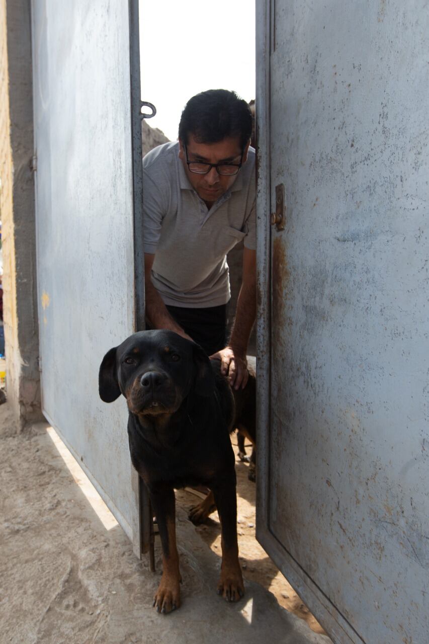 'Bonie' también ha enfrentado a un ratero y evitó robos en su casa. | Foto: Andrés Paredes / Trome