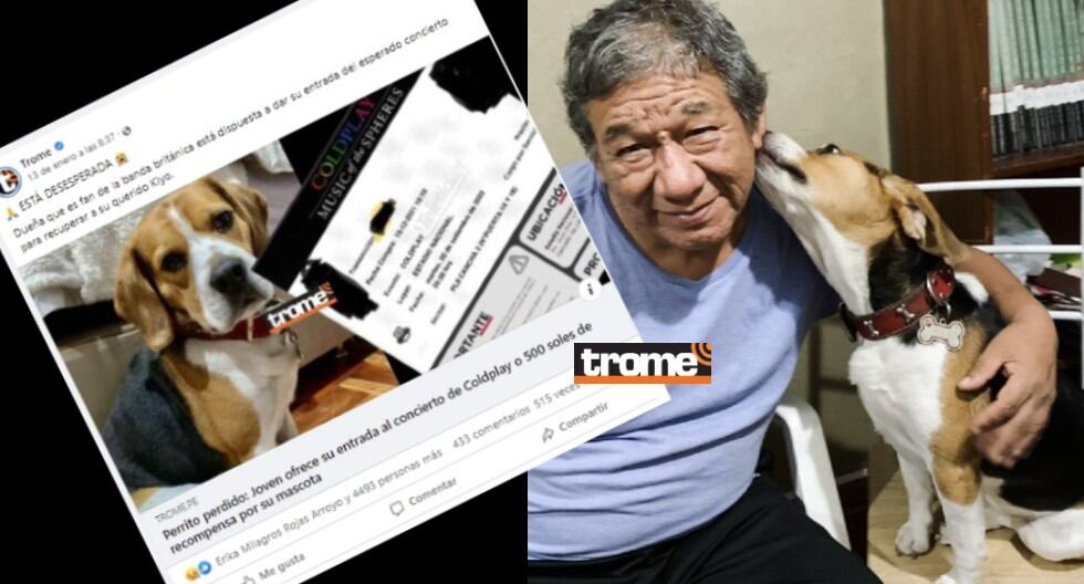 Familia en San Martín de Porres recuperó a su perrito Kiyo. Estaba perdido, ofrecían entrada al concierto de Coldplay como recompensa por su mascota (Compos. Trome / Isabel Medina)