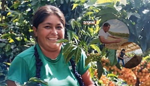 Finca Churupampa: café sostenible de Cajamarca conquista mercados internacionales con innovación