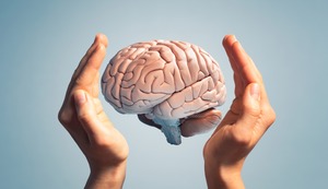 ¿Para qué sirven los pliegues del cerebro?