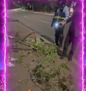 Testigo de la muerte de Lizeth Marzano grabó imágenes de la escena.