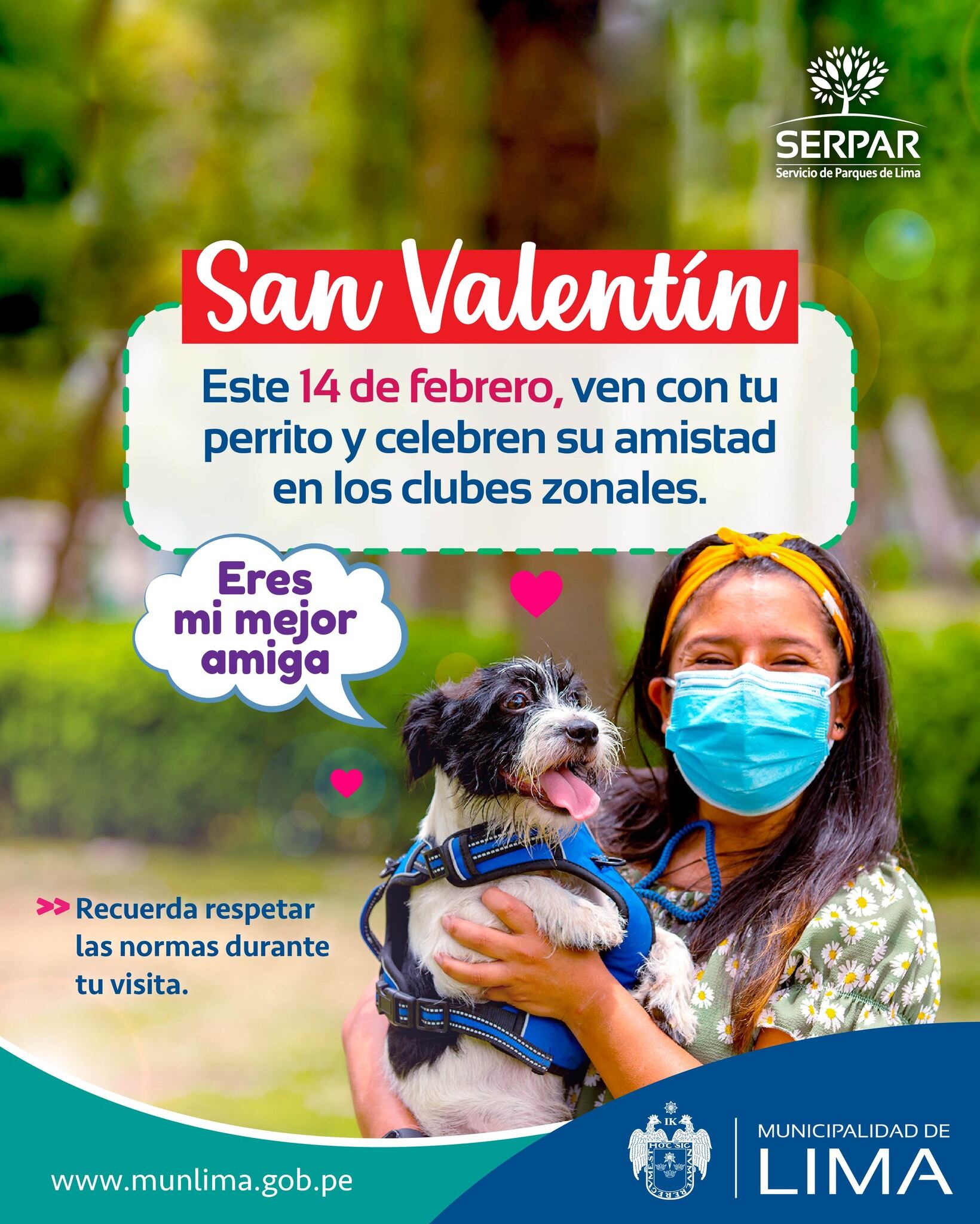 Perritos sellarán su amor en el club zonal Huiracocha. Foto: Serpar