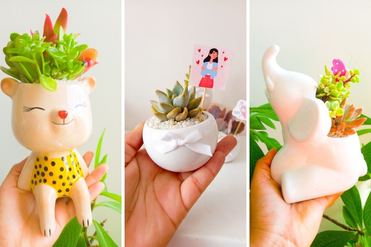 No podía faltar plantitas para mamá.
Foto: Pepita Orgánika.