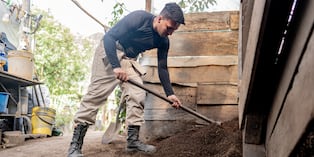Hombre cava un hoyo en el jardín para plantar un árbol. Foto: Istock