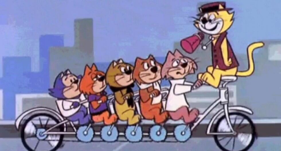 Los gatos tienen tres fechas de celebración cada año. Veterinarios indican que los mininos pueden pasar 14 horas del día durmiendo. (Trome)