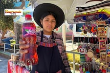 Gaseosas artesanales de muña, orégano y plantas medicinales: el emprendimiento que sorprende en Tacna