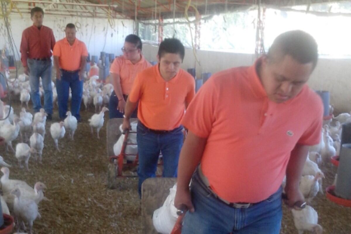 Pavo Down está integrado por 28 colaboradores, de los cuales 11 son jóvenes con discapacidad. Para el 2021 buscan integrar a otros 32 más. (Foto: Facebook | Pavo Down)