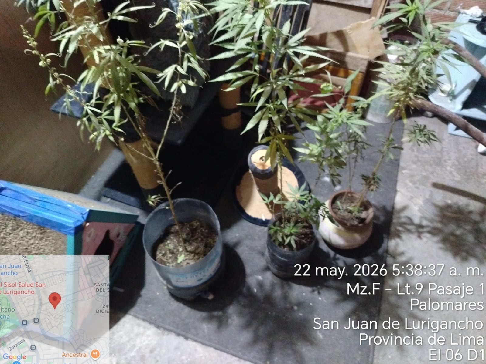 En la casa se incautó marihuana.