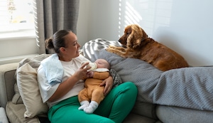 ¿Cómo preparar a tu perro para la llegada de un bebé?