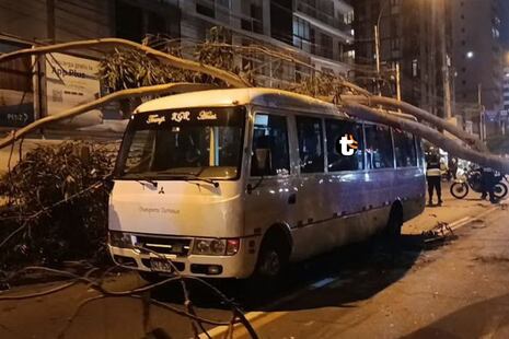 ¡Pudo ser una tragedia! árbol cae sobre cúster con escolares en plena avenida Pershing