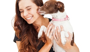 Descubre por qué tu perrito te lame la cara apenas te ve