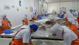Fenómeno El Niño: Ventajas y desventajas del consumo de pescado fresco y congelado