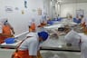Fenómeno El Niño: Ventajas y desventajas del consumo de pescado fresco y congelado