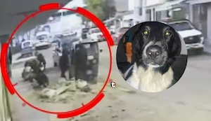 ¡Sicario balea perrito en Surco! Dispara contra grupo de amigos y deja heridos dos hombres y una mascota