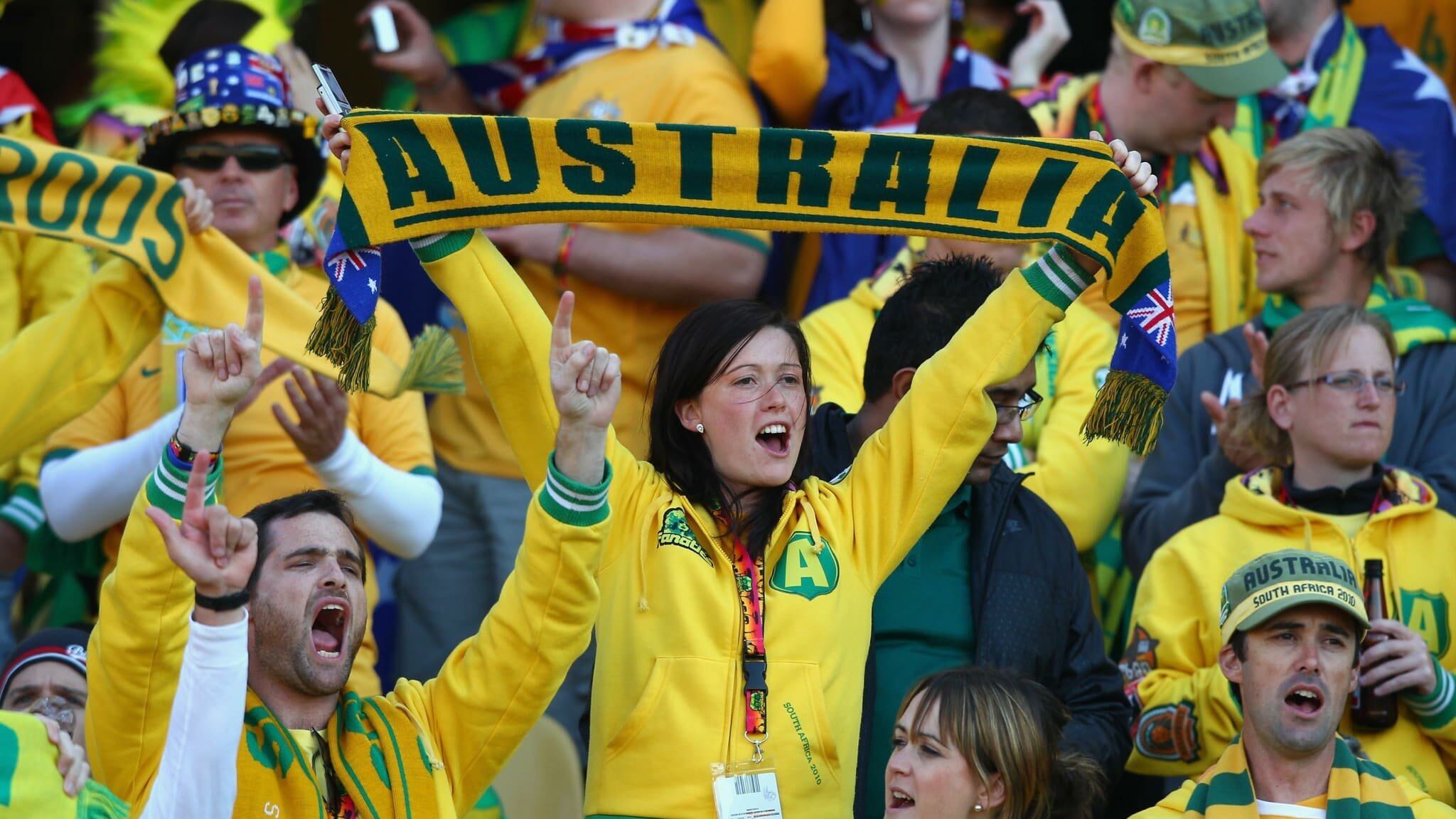 El Oso Paddington se hizo tendencia luego que se confirmase el Perú vs Australia. Foto: Captura.