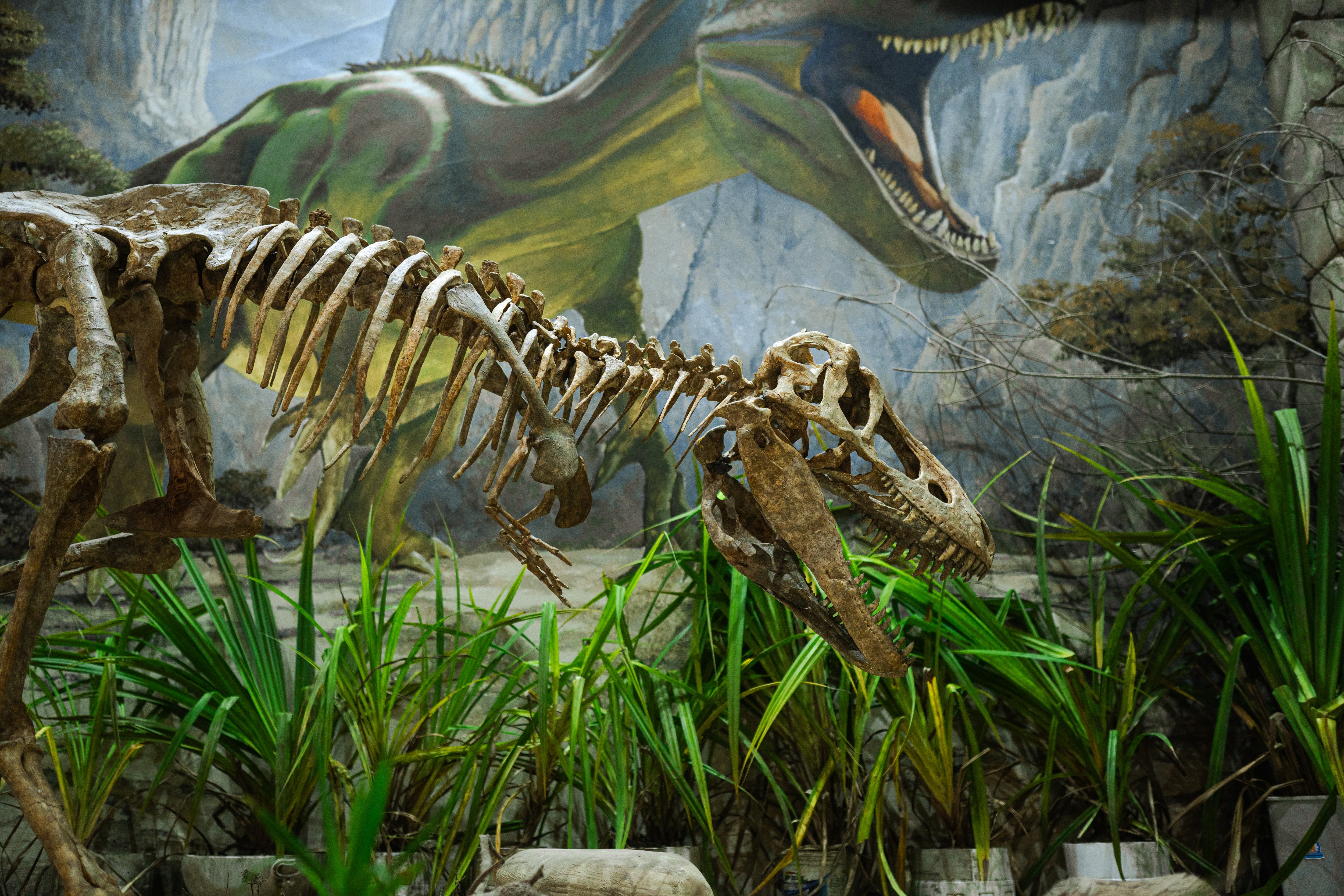 Parque Jurásico de Chancay. (Foto: Difusión)