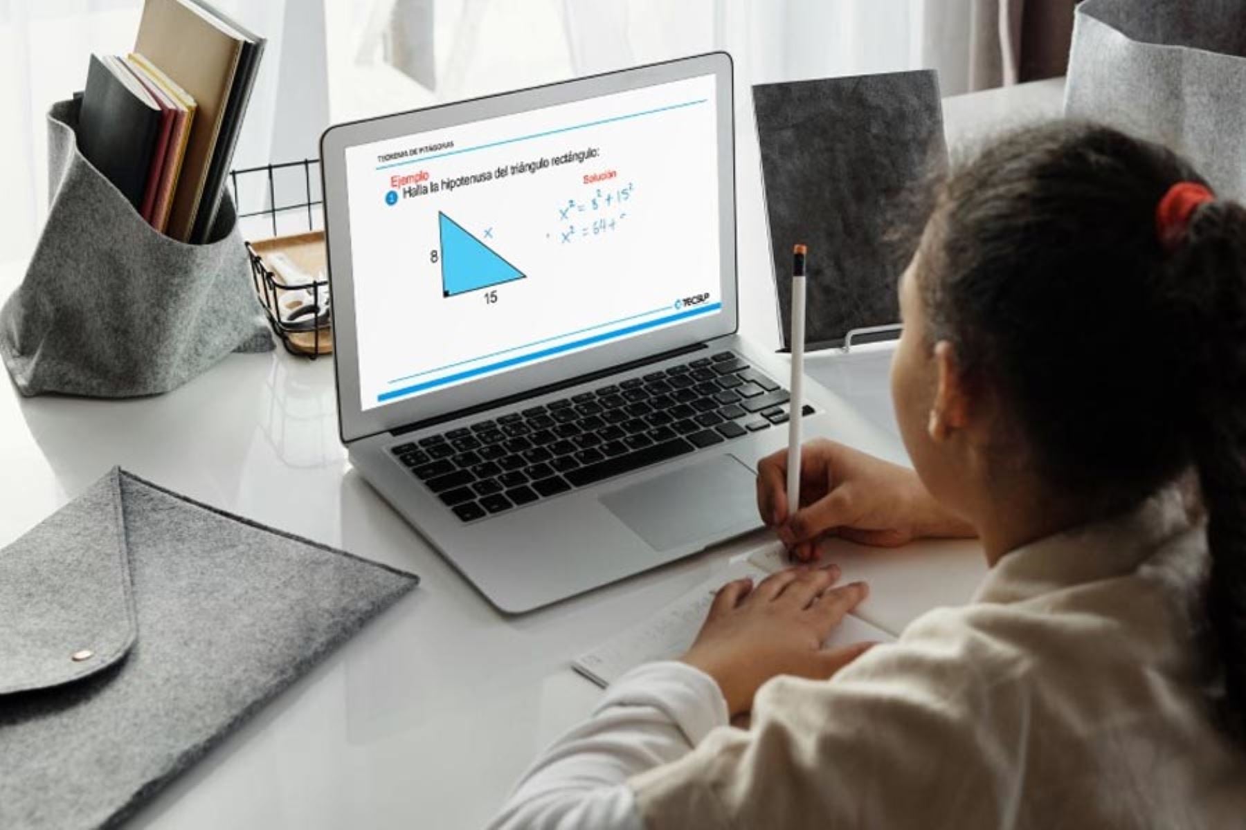 Regresan las clases virtuales. (Foto: Andina)