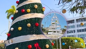 Chiclayo: con este nuevo aspecto se hará encendido de polémico árbol de Navidad