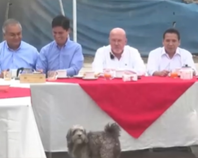 Perrito se roba el show en desayuno electoral de Techito