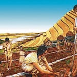 ¿Cómo se organizaba el trabajo en el Imperio de los incas?