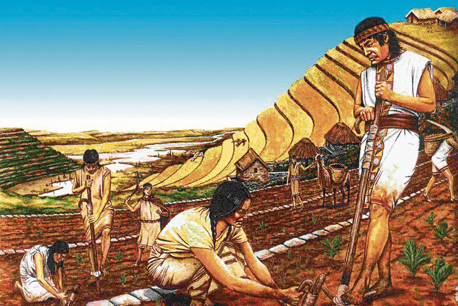 Reparto de tareas era equitativo y todos debían hacer algo