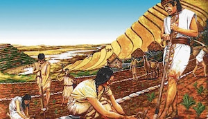 ¿Cómo se organizaba el trabajo en el Imperio de los incas?