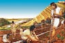 ¿Cómo se organizaba el trabajo en el Imperio de los incas?
