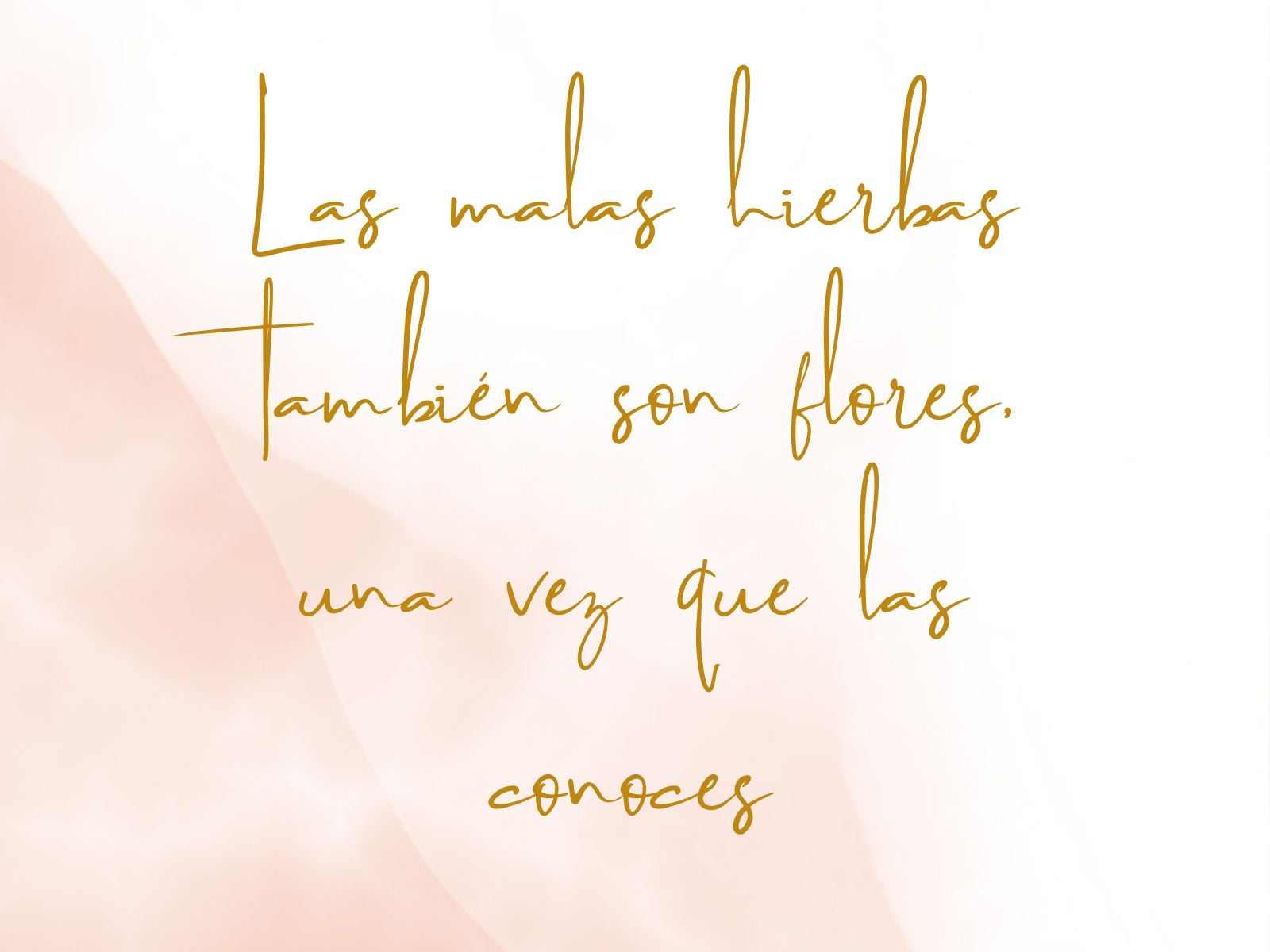 Las malas hierbas también son flores, una vez que las conoces (Foto: Canva/Composición Mix)