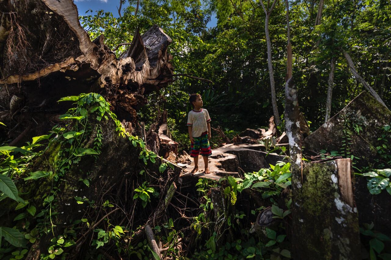 El delito ambiental crece en nuestro país.