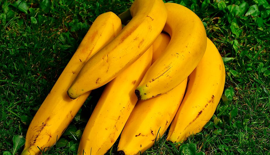 5.- El plátano es uno de los alimentos con más proteínas. (Foto: Pixabay)