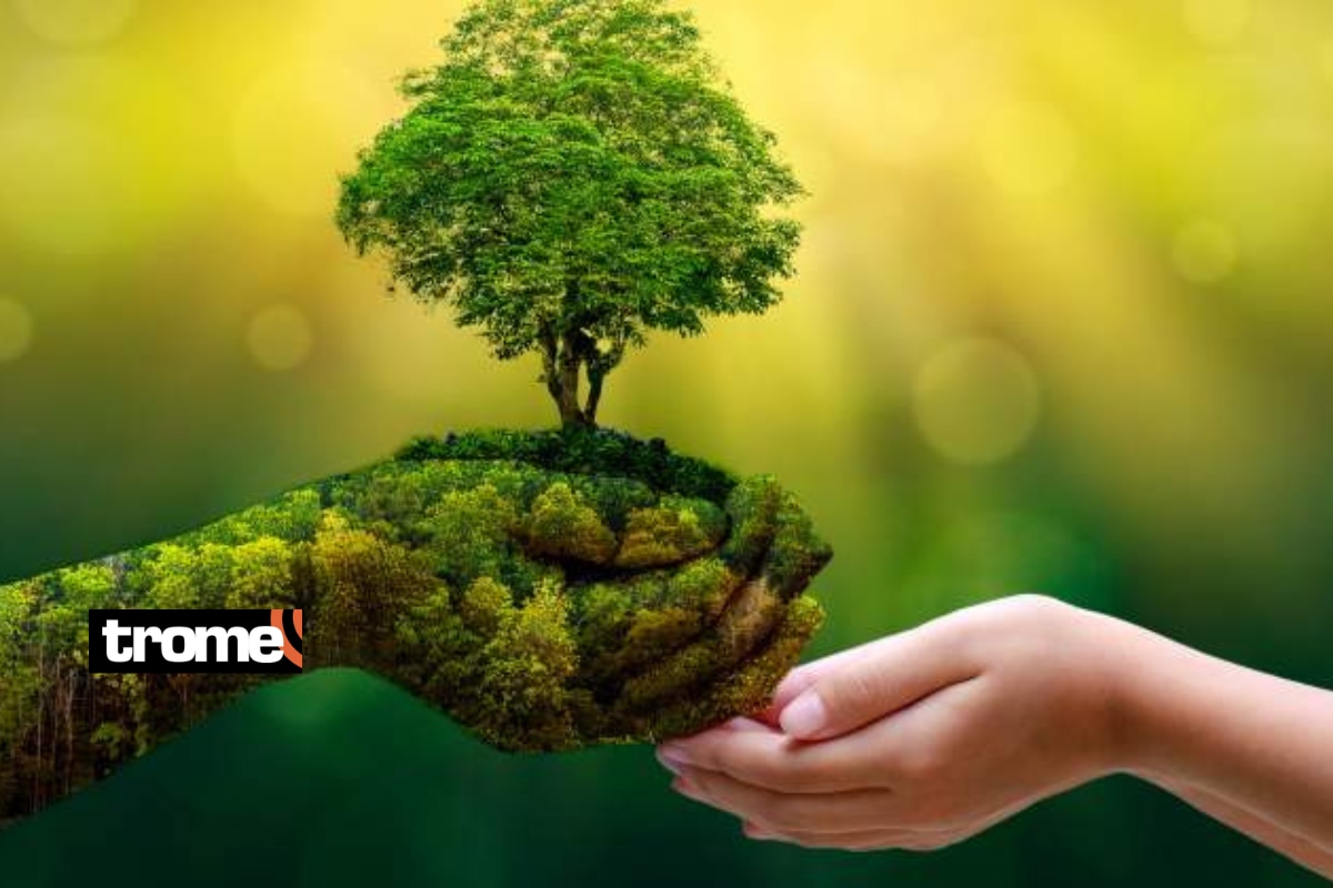 En el día del planeta conoce la naturaleza del mundo que habitamos. Foto: Istock